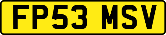 FP53MSV