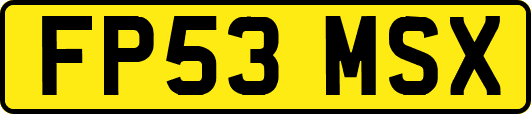 FP53MSX