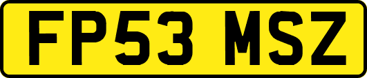 FP53MSZ