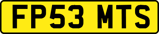 FP53MTS