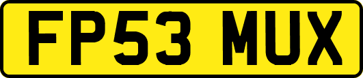FP53MUX