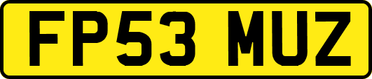 FP53MUZ