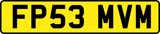 FP53MVM
