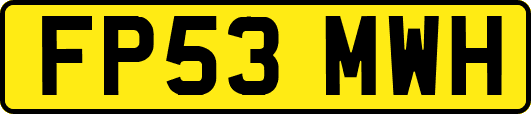 FP53MWH