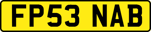 FP53NAB