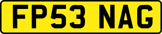 FP53NAG