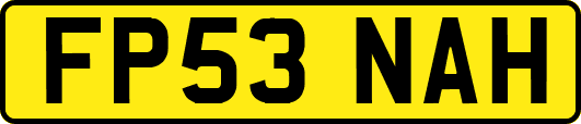 FP53NAH