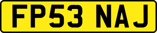 FP53NAJ