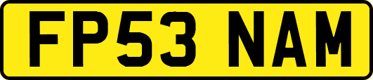 FP53NAM
