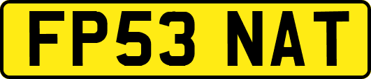FP53NAT
