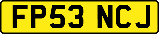 FP53NCJ