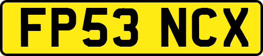 FP53NCX