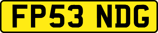 FP53NDG