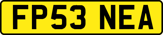 FP53NEA