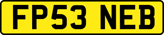 FP53NEB