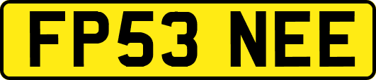 FP53NEE