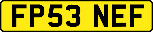 FP53NEF