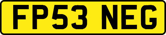 FP53NEG