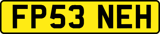 FP53NEH
