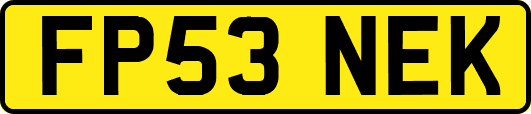 FP53NEK