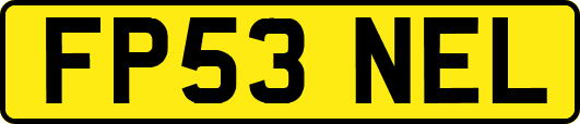 FP53NEL