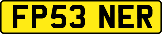 FP53NER
