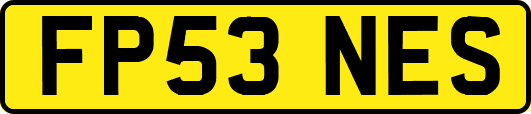 FP53NES