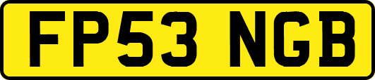 FP53NGB