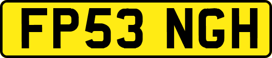 FP53NGH
