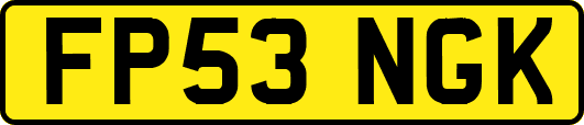 FP53NGK