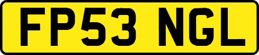 FP53NGL