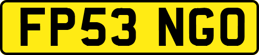 FP53NGO