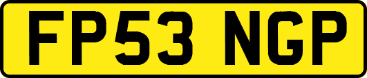 FP53NGP