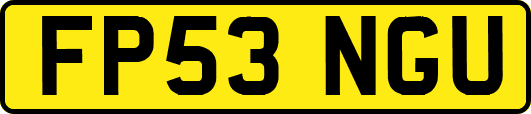 FP53NGU