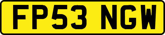 FP53NGW