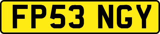 FP53NGY