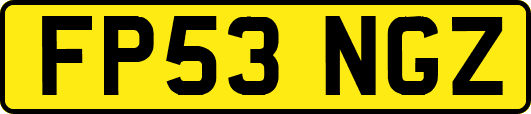 FP53NGZ