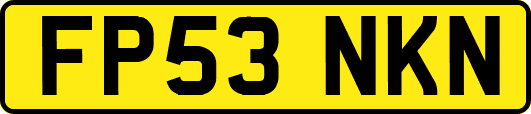 FP53NKN
