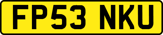 FP53NKU