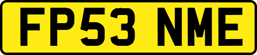FP53NME