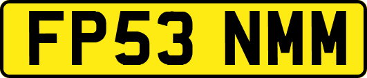 FP53NMM
