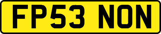 FP53NON