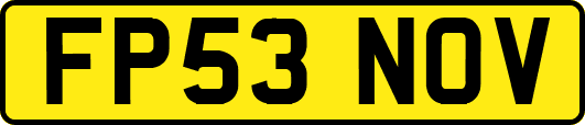 FP53NOV