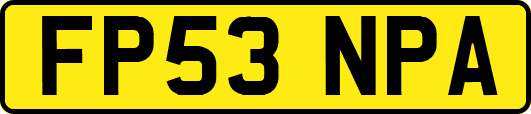 FP53NPA