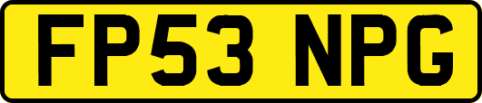 FP53NPG
