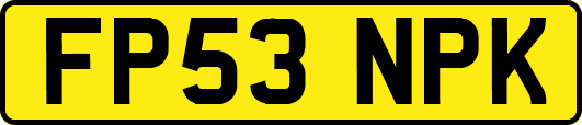 FP53NPK