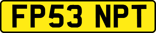 FP53NPT