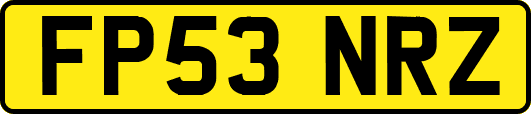FP53NRZ