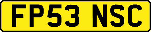 FP53NSC
