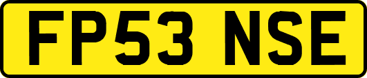 FP53NSE